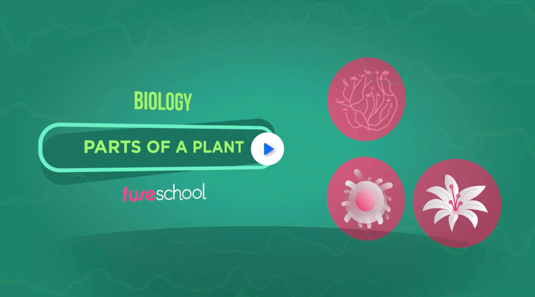 Science Learning Videos 5 science videos for fourth grade