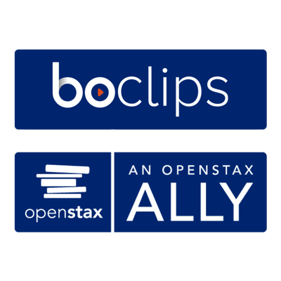 Boclips OpenStax Ally Logos