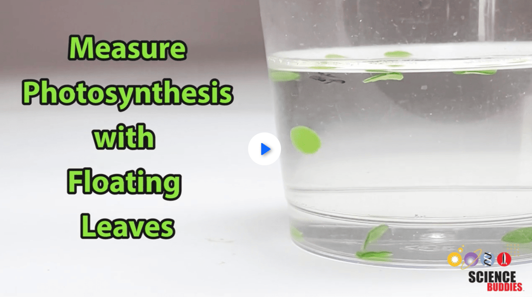 Science Learning Videos 4 science videos for fifth grade