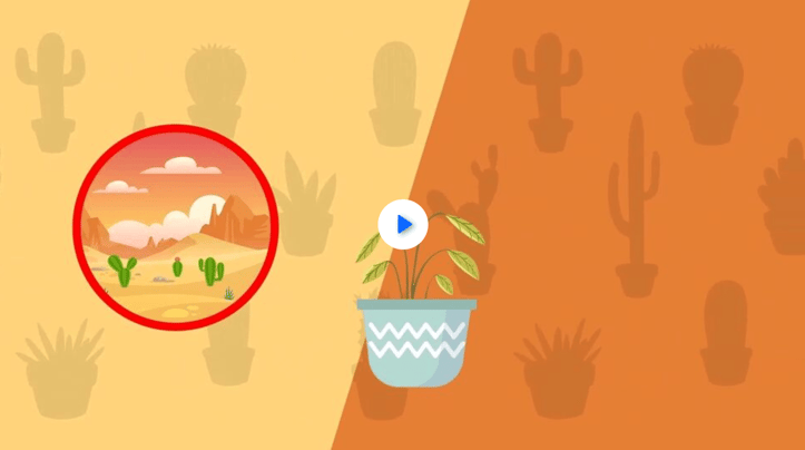 1st grade - weird plants for kids