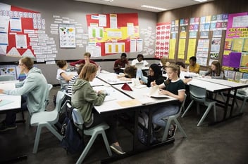 Differentiating instruction with video 