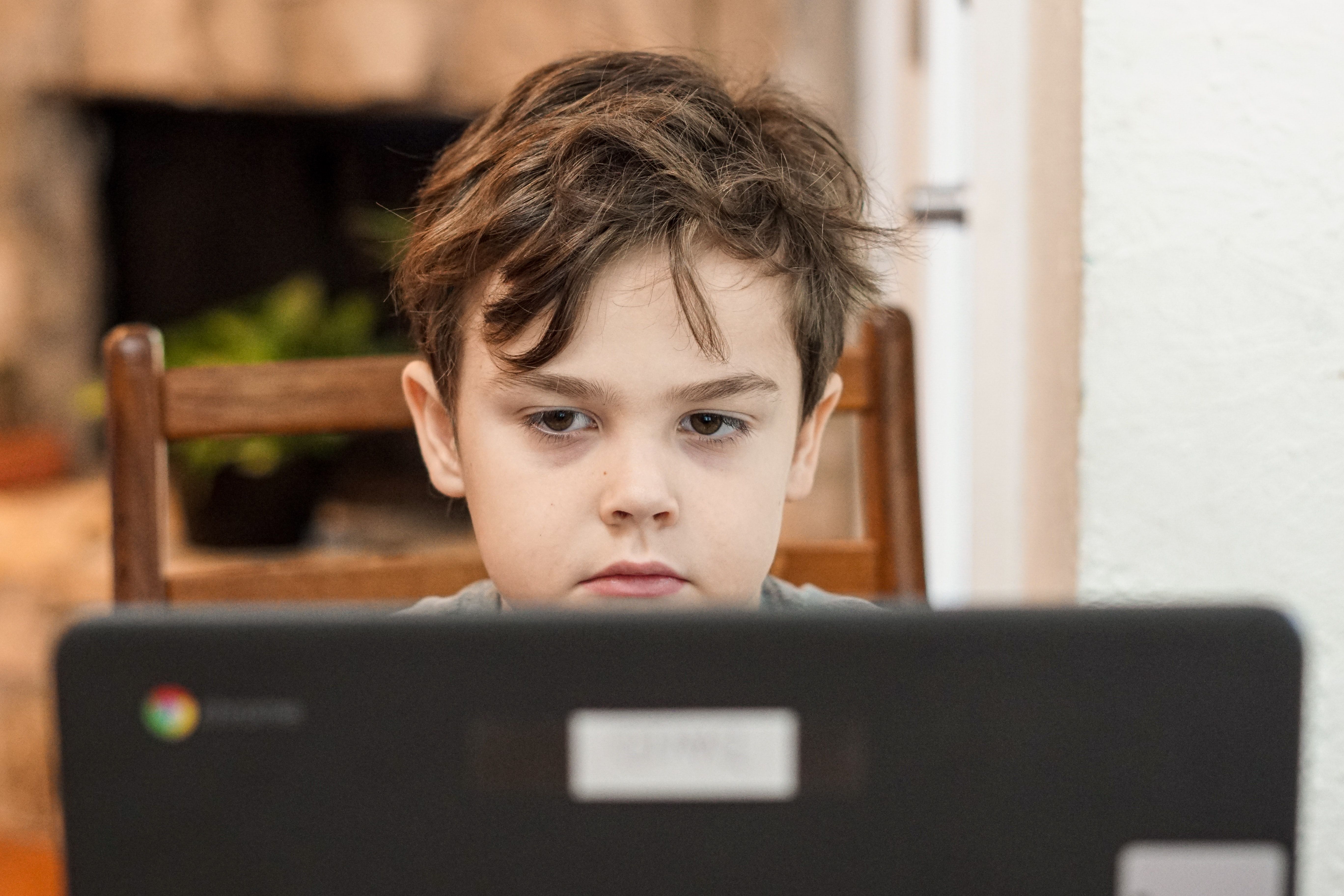 Kindergarten boy sits on a wooden chair at home, looking at his laptop while attending virtual school.