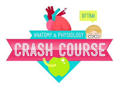 Crash Course Anatomy & Physiology