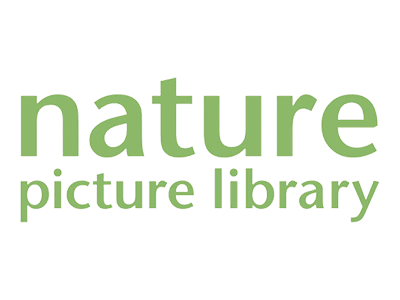 Nature Picture Library
